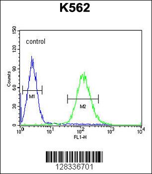 TEX9 Antibody (N-term) (Cat. #AP10612a) flow cytometric analysis of K562 cells (right histogram) compared to a negative control cell (left histogram).FITC-conjugated goat-anti-rabbit secondary antibodies were used for the analysis.