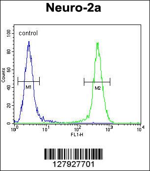JOSD2 Antibody (N-term) (Cat. #AP10599a) flow cytometric analysis of Neuro-2a cells (right histogram) compared to a negative control cell (left histogram).FITC-conjugated goat-anti-rabbit secondary antibodies were used for the analysis.