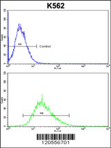 ITM2A Antibody (N-term)(Cat. #AP6765a) flow cytometric analysis of k562 cells (bottom histogram) compared to a negative control cell (top histogram).FITC-conjugated goat-anti-rabbit secondary antibodies were used for the analysis.