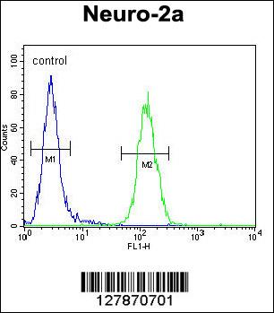 LCN10 Antibody (Center) (Cat. #AP10587c) flow cytometric analysis of Neuro-2a cells (right histogram) compared to a negative control cell (left histogram).FITC-conjugated goat-anti-rabbit secondary antibodies were used for the analysis.