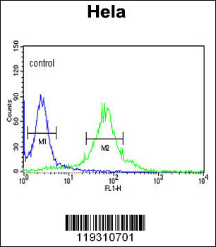 FKBP2 Antibody (N-term) (Cat. #AP6730a) flow cytometric analysis of Hela cells (right histogram) compared to a negative control cell (left histogram).FITC-conjugated goat-anti-rabbit secondary antibodies were used for the analysis.