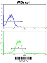 Flow cytometric analysis of MDA-231 cells using CLUAP1 antibody (C-term)(bottom histogram) compared to a negative control cell (top histogram). FITC-conjugated goat-anti-rabbit secondary antibodies were used for the analysis.