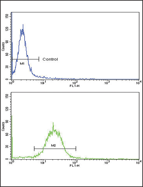 Flow cytometric analysis of MDA-231 cells using ARGBP2 Antibody (N-term)(bottom histogram) compared to a negative control cell (top histogram). FITC-conjugated goat-anti-rabbit secondary antibodies were used for the analysis.