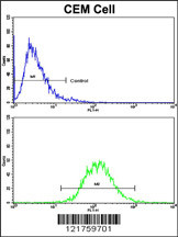 Flow cytometric analysis of CEM cells using HMHA1 Antibody (Center)(bottom histogram) compared to a negative control cell (top histogram). FITC-conjugated goat-anti-rabbit secondary antibodies were used for the analysis.