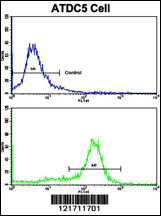 Flow cytometric analysis of ATDC5 cells using MSRB2 Antibody (Center)(bottom histogram) compared to a negative control cell (top histogram). FITC-conjugated goat-anti-rabbit secondary antibodies were used for the analysis.