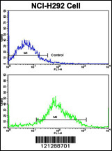 Flow cytometric analysis of NCI-H292 cells using MyoGEF Antibody (N-term)(bottom histogram) compared to a negative control cell (top histogram). FITC-conjugated goat-anti-rabbit secondary antibodies were used for the analysis.