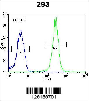 LRRC57 Antibody (C-term) (Cat. #AP10537b) flow cytometric analysis of 293 cells (right histogram) compared to a negative control cell (left histogram).FITC-conjugated goat-anti-rabbit secondary antibodies were used for the analysis.