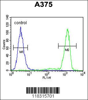 PALA Antibody (N-term) (Cat. #AP6845a) flow cytometric analysis of A375 cells (right histogram) compared to a negative control cell (left histogram).FITC-conjugated goat-anti-rabbit secondary antibodies were used for the analysis.