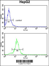 SLC38A3 Antibody (Center) (Cat.#AP6819c) flow cytometry analysis of HepG2 cells (bottom histogram) compared to a negative control cell (top histogram). FITC-conjugated goat-anti-rabbit secondary antibodies were used for the analysis.
