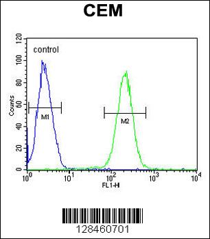 5HT3E Antibody (Center) (Cat. #AP10528c) flow cytometric analysis of CEM cells (right histogram) compared to a negative control cell (left histogram).FITC-conjugated goat-anti-rabbit secondary antibodies were used for the analysis.