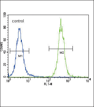 CC85C Antibody (N-term) (Cat. #AP10512a) flow cytometric analysis of 293 cells (right histogram) compared to a negative control cell (left histogram).FITC-conjugated goat-anti-rabbit secondary antibodies were used for the analysis.