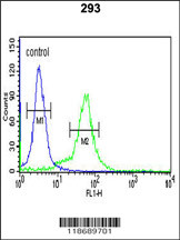 BTBD1 Antibody (Center) (Cat. #AP7323c) flow cytometric analysis of 293 cells (right histogram) compared to a negative control cell (left histogram).FITC-conjugated goat-anti-rabbit secondary antibodies were used for the analysis.