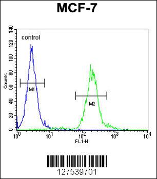 AVPI1 Antibody (N-term) (Cat. #AP10506a) flow cytometric analysis of MCF-7 cells (right histogram) compared to a negative control cell (left histogram).FITC-conjugated goat-anti-rabbit secondary antibodies were used for the analysis.