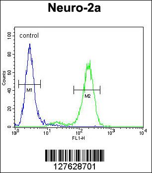 DDX11 Antibody (Center) (Cat. #AP10453c) flow cytometric analysis of Neuro-2a cells (right histogram) compared to a negative control cell (left histogram).FITC-conjugated goat-anti-rabbit secondary antibodies were used for the analysis.