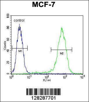 LYSMD4 Antibody (N-term) (Cat. #AP10422a) flow cytometric analysis of MCF-7 cells (right histogram) compared to a negative control cell (left histogram).FITC-conjugated goat-anti-rabbit secondary antibodies were used for the analysis.