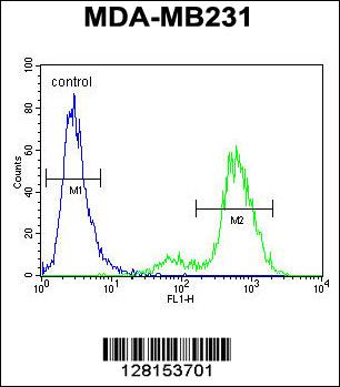 SYCE2 Antibody (N-term) (Cat. #AP10413a) flow cytometric analysis of MDA-MB231 cells (right histogram) compared to a negative control cell (left histogram).FITC-conjugated goat-anti-rabbit secondary antibodies were used for the analysis.