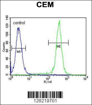 CCDC122 Antibody (C-term) (Cat. #AP10856b) flow cytometric analysis of CEM cells (right histogram) compared to a negative control cell (left histogram).FITC-conjugated goat-anti-rabbit secondary antibodies were used for the analysis.