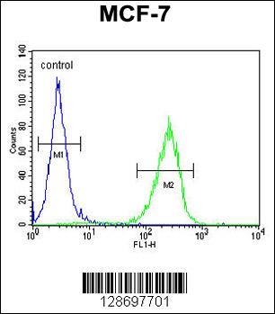 CO027 Antibody (C-term) (Cat. #AP10811b) flow cytometric analysis of MCF-7 cells (right histogram) compared to a negative control cell (left histogram).FITC-conjugated goat-anti-rabbit secondary antibodies were used for the analysis.