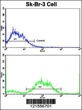 Flow cytometric analysis of SK-Br-3 cells using PTAR1 Antibody (Center)(bottom histogram) compared to a negative control cell (top histogram). FITC-conjugated goat-anti-rabbit secondary antibodies were used for the analysis.