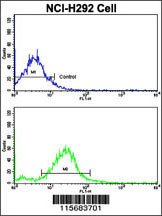 Flow cytometric analysis of NCI-H292 cells using RARS2 Antibody (C-term)(bottom histogram) compared to a negative control cell (top histogram). FITC-conjugated goat-anti-rabbit secondary antibodies were used for the analysis.