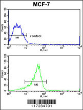 RASL11B Antibody (N-term) (Cat. #AP8789a) flow cytometric analysis of MCF-7 cells (bottom histogram) compared to a negative control cell (top histogram).  FITC-conjugated goat-anti-rabbit secondary antibodies were used for the analysis.