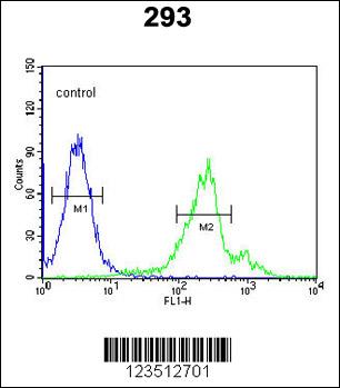 CDC42EP3 Antibody (N-term) (Cat. #AP8775a) flow cytometric analysis of 293 cells (right histogram) compared to a negative control cell (left histogram).FITC-conjugated goat-anti-rabbit secondary antibodies were used for the analysis.