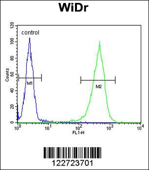 CCDC3 Antibody (C-term) (Cat. #AP8744b) flow cytometric analysis of WiDr cells (right histogram) compared to a negative control cell (left histogram).FITC-conjugated goat-anti-rabbit secondary antibodies were used for the analysis.