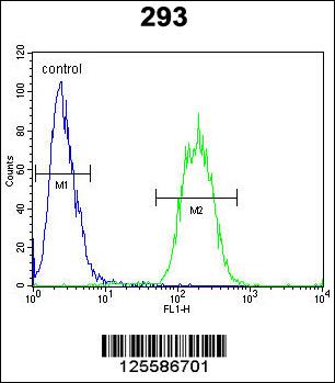 SACA1 Antibody (N-term) (Cat. #AP10775a) flow cytometric analysis of 293 cells (right histogram) compared to a negative control cell (left histogram).FITC-conjugated goat-anti-rabbit secondary antibodies were used for the analysis.