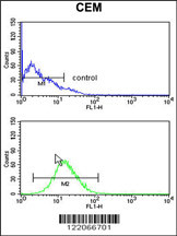 BAT4 Antibody (C-term) (Cat. #AP8721b) flow cytometry analysis of CEM cells (bottom histogram) compared to a negative control cell (top histogram).FITC-conjugated goat-anti-rabbit secondary antibodies were used for the analysis.