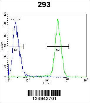 CLPX Antibody (C-term) (Cat. #AP10767b) flow cytometric analysis of 293 cells (right histogram) compared to a negative control cell (left histogram).FITC-conjugated goat-anti-rabbit secondary antibodies were used for the analysis.