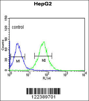 ACER3 Antibody (C-term) (Cat. #AP8953b) flow cytometric analysis of HepG2 cells (right histogram) compared to a negative control cell (left histogram).FITC-conjugated goat-anti-rabbit secondary antibodies were used for the analysis.