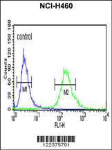 ALG14 Antibody (Center) (Cat. #AP8903c) flow cytometric analysis of NCI-H460 cells (right histogram) compared to a negative control cell (left histogram).FITC-conjugated goat-anti-rabbit secondary antibodies were used for the analysis.