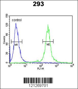 TCERG1L Antibody (Center) (Cat. #AP8880c) flow cytometric analysis of 293 cells (right histogram) compared to a negative control cell (left histogram).FITC-conjugated goat-anti-rabbit secondary antibodies were used for the analysis.