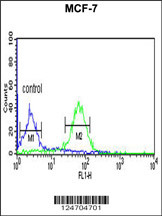 WDR37 Antibody (C-term) (Cat. #AP9251b) flow cytometric analysis of MCF-7 cells (right histogram) compared to a negative control cell (left histogram).FITC-conjugated goat-anti-rabbit secondary antibodies were used for the analysis.