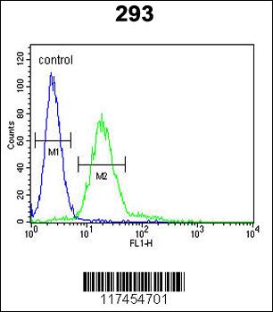 MPP6 Antibody (Center) (Cat. #AP9201c) flow cytometric analysis of 293 cells (right histogram) compared to a negative control cell (left histogram).FITC-conjugated goat-anti-rabbit secondary antibodies were used for the analysis.