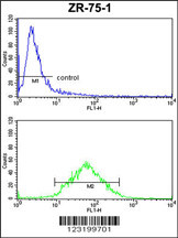 PXMP4 Antibody (Center) (Cat.#AP9180c) FC analysis of ZR-75-1 cells (bottom histogram) compared to a negative control cell (top histogram). FITC-conjugated goat-anti-rabbit secondary antibodies were used for the analysis.