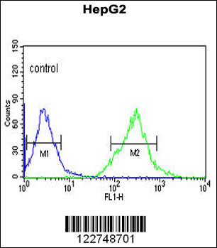 AFMID Antibody (N-term) (Cat. #AP9175a) flow cytometric analysis of HepG2 cells (right histogram) compared to a negative control cell (left histogram).FITC-conjugated goat-anti-rabbit secondary antibodies were used for the analysis.