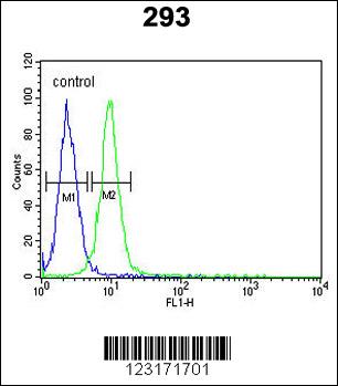 RPL18A Antibody (C-term) (Cat. #AP9141b) flow cytometric analysis of 293 cells (right histogram) compared to a negative control cell (left histogram).FITC-conjugated goat-anti-rabbit secondary antibodies were used for the analysis.