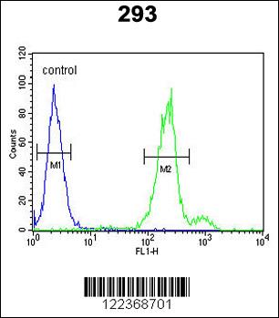 CLRN3 Antibody (C-term) (Cat. #AP9129b) flow cytometric analysis of 293 cells (right histogram) compared to a negative control cell (left histogram).FITC-conjugated goat-anti-rabbit secondary antibodies were used for the analysis.