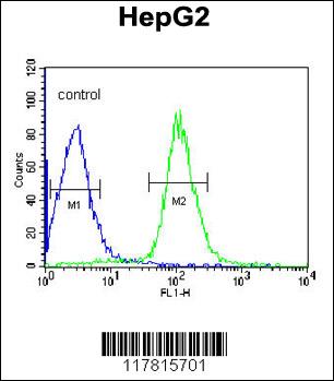 DIPA Antibody (Center) (Cat. #AP9120c) flow cytometric analysis of HepG2 cells (right histogram) compared to a negative control cell (left histogram).FITC-conjugated goat-anti-rabbit secondary antibodies were used for the analysis.
