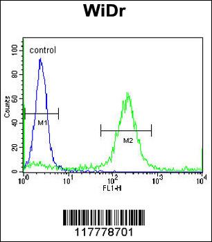ADAMDEC1 Antibody (N-term) (Cat. #AP9119a) flow cytometric analysis of WiDr cells (right histogram) compared to a negative control cell (left histogram).FITC-conjugated goat-anti-rabbit secondary antibodies were used for the analysis.