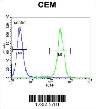HIST1H2B Antibody (Center) (Cat. #AP10727c) flow cytometric analysis of CEM cells (right histogram) compared to a negative control cell (left histogram).FITC-conjugated goat-anti-rabbit secondary antibodies were used for the analysis.