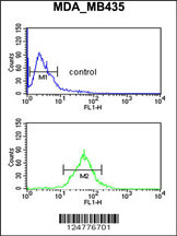 TFPT Antibody (N-term) (Cat. #AP9304a) flow cytometric analysis of MDA-MB435 cells (bottom histogram) compared to a negative control cell (top histogram).FITC-conjugated goat-anti-rabbit secondary antibodies were used for the analysis.