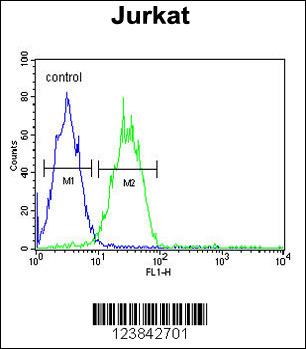 ARGLU1 Antibody (N-term) (Cat. #AP9290a) flow cytometric analysis of Jurkat cells (right histogram) compared to a negative control cell (left histogram).FITC-conjugated goat-anti-rabbit secondary antibodies were used for the analysis.