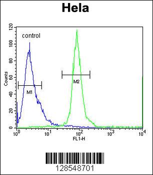 ESCO2 Antibody (Center) (Cat. #AP10717c) flow cytometric analysis of Hela cells (right histogram) compared to a negative control cell (left histogram).FITC-conjugated goat-anti-rabbit secondary antibodies were used for the analysis.