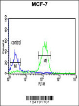 LUC7L2 Antibody (C-term) (Cat. #AP9549a) flow cytometric analysis of MCF-7 cells (right histogram) compared to a negative control cell (left histogram).FITC-conjugated goat-anti-rabbit secondary antibodies were used for the analysis.