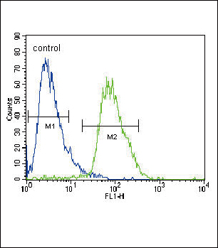 CACNA2D3 Antibody (C-term) (Cat. #AP9739b) flow cytometric analysis of HepG2 cells (right histogram) compared to a negative control cell (left histogram).FITC-conjugated goat-anti-rabbit secondary antibodies were used for the analysis.