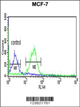 TAF2 Antibody (C-Term) (Cat. #AP9965a) flow cytometric analysis of MCF-7 cells (right histogram) compared to a negative control cell (left histogram).FITC-conjugated goat-anti-rabbit secondary antibodies were used for the analysis.