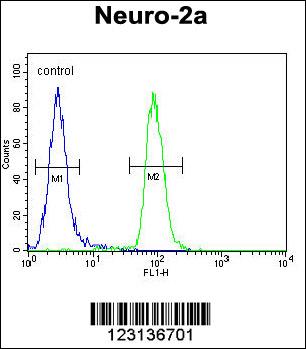 CIRH1A Antibody (N-term) (Cat. #AP9951a) flow cytometric analysis of Neuro-2a cells (right histogram) compared to a negative control cell (left histogram).FITC-conjugated goat-anti-rabbit secondary antibodies were used for the analysis.