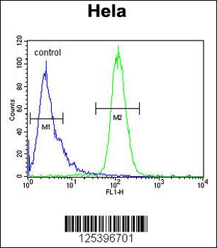 INT10 Antibody (C-term) (Cat. #AP9925b) flow cytometric analysis of Hela cells (right histogram) compared to a negative control cell (left histogram).FITC-conjugated goat-anti-rabbit secondary antibodies were used for the analysis.